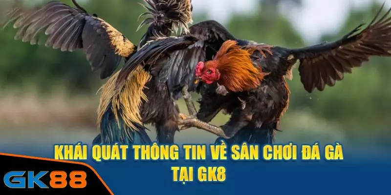 Khám phá sân chơi đá gà siêu kịch tính cùng GK88 BET